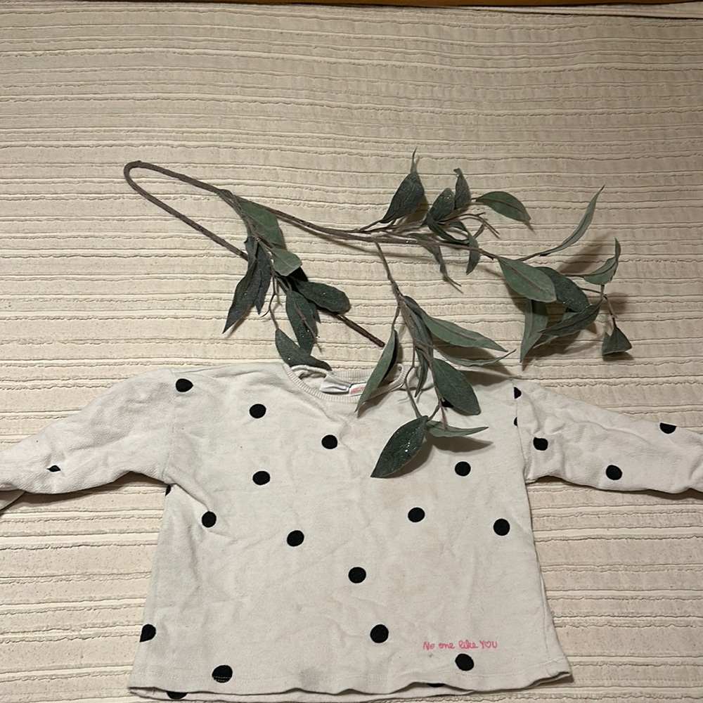 Zara toddler sweater